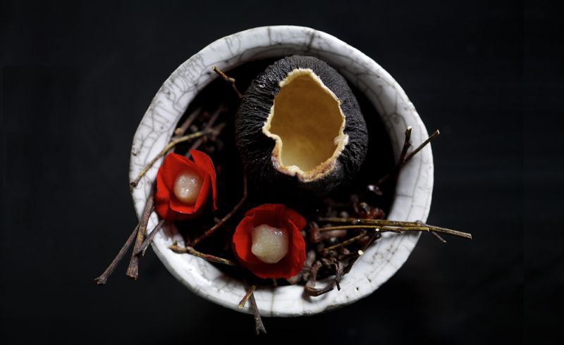 whiterabbit 2016 01 16 171971